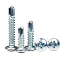 Metal Screw Pan Head SDS