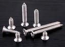  Stainless Steel Screw 304